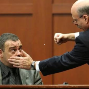 Curso de Testigo Hostil